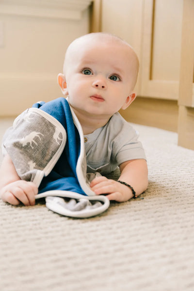 Baby Security Blanket Grey Moose Set of 2 Poshinate Kiddos