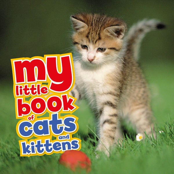 Kids Book My Little Book of Cats Kittens – Poshinate Kiddos