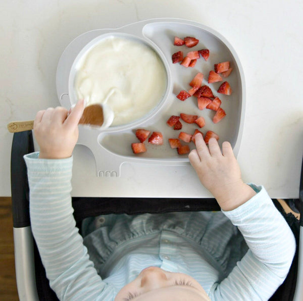 Baby Food Plates