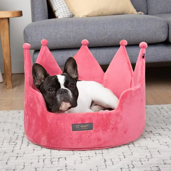 Dog or Cat Bed | Crown | Blush - Pet Accessories - Poshinate Kiddos Baby & Kids Store - View of relaxed pooch in their crown bed