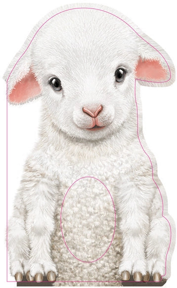 Kids Book | Baby Lamb