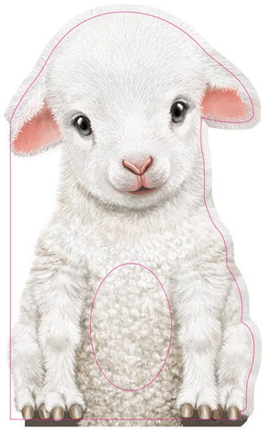 Kids Book | Baby Lamb - Books & Activities - Poshinate Kiddos Baby & Kids Store - front of book