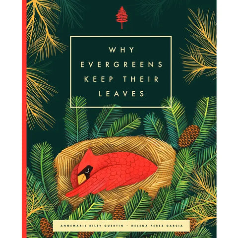 Kids Book | Why Evergreens Keep Their Leaves - Books and Activities - Poshinate Kiddos Baby & Kids Store - front of book