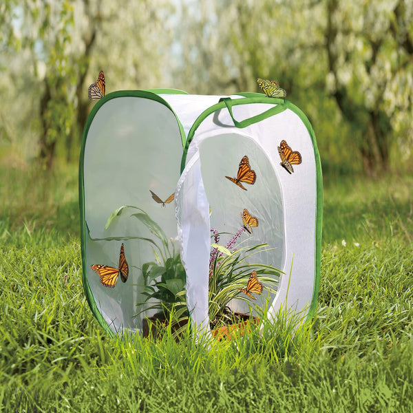 Butterfly Habitat Cage – Poshinate Kiddos