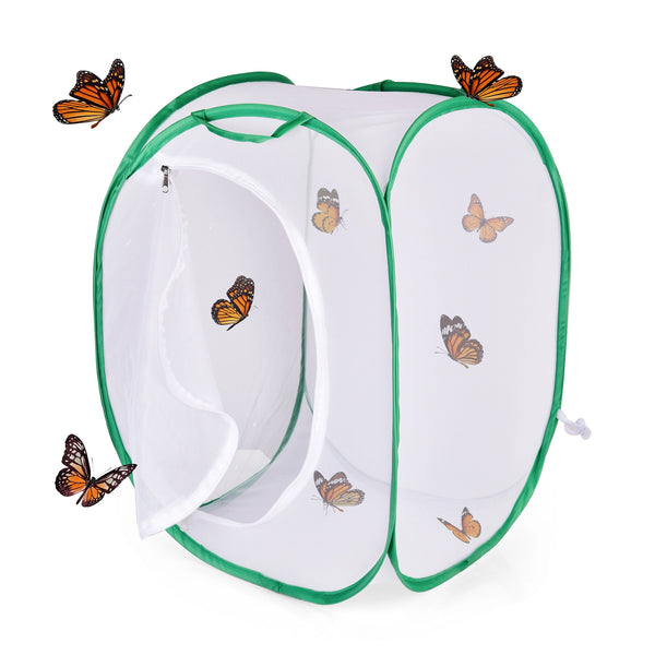 Butterfly Habitat Cage - Outdoor Activities - Poshinate Kiddos Baby & Kids Store - Newly hatched butterflies flying freely in and around their cage