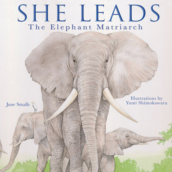 Kids Book | She Leads | African Elephants - Books and Activities - Poshinate Kiddos Baby & Kids Store - shows Elephant Matriarch