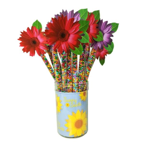 Sunny Seeds | Candy Coated Sunflower Seeds | Daisy Top - Food Items - Poshinate Kiddos baby & kids Store - standing in pot